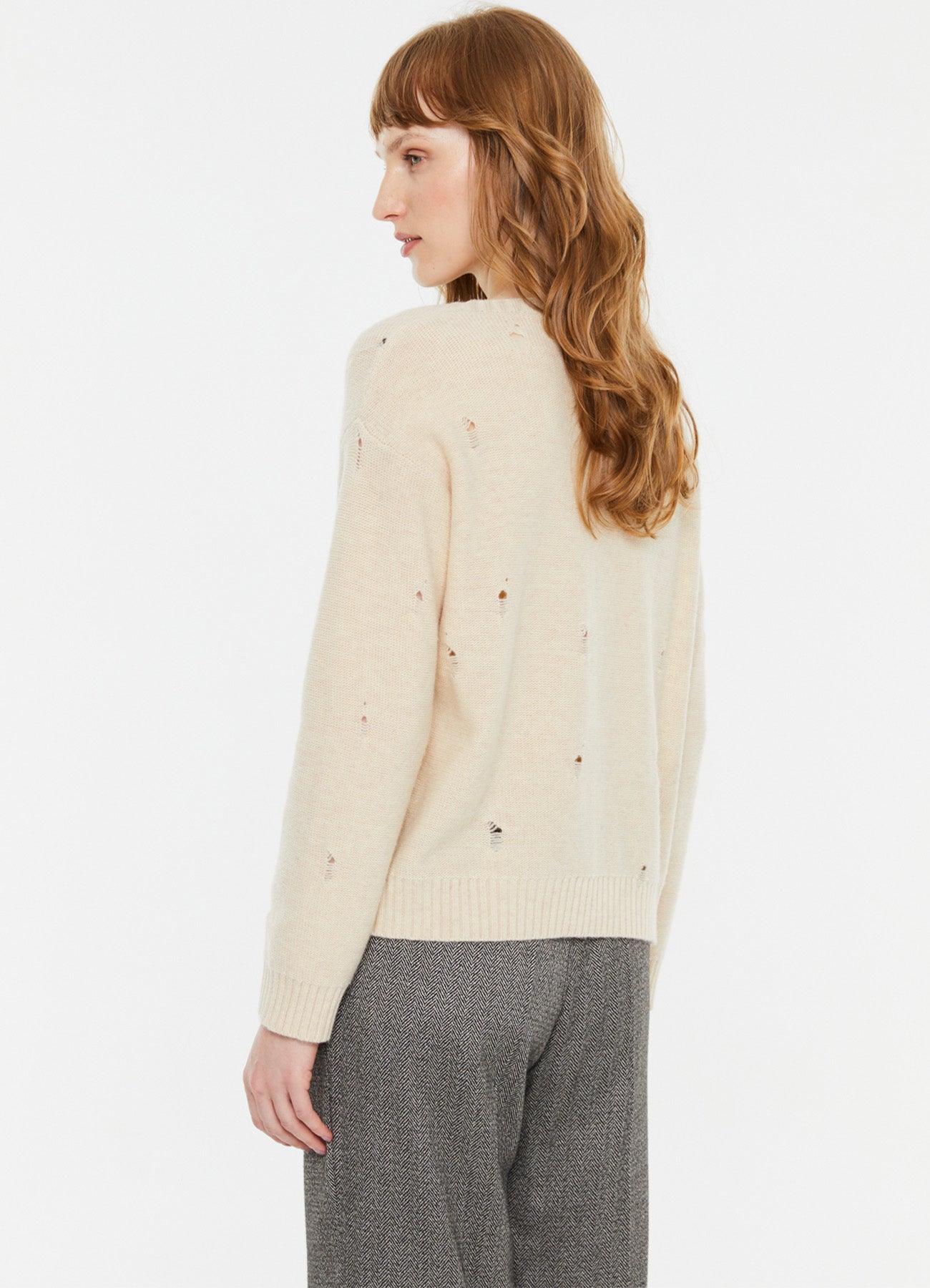 Jersey : Cream-36