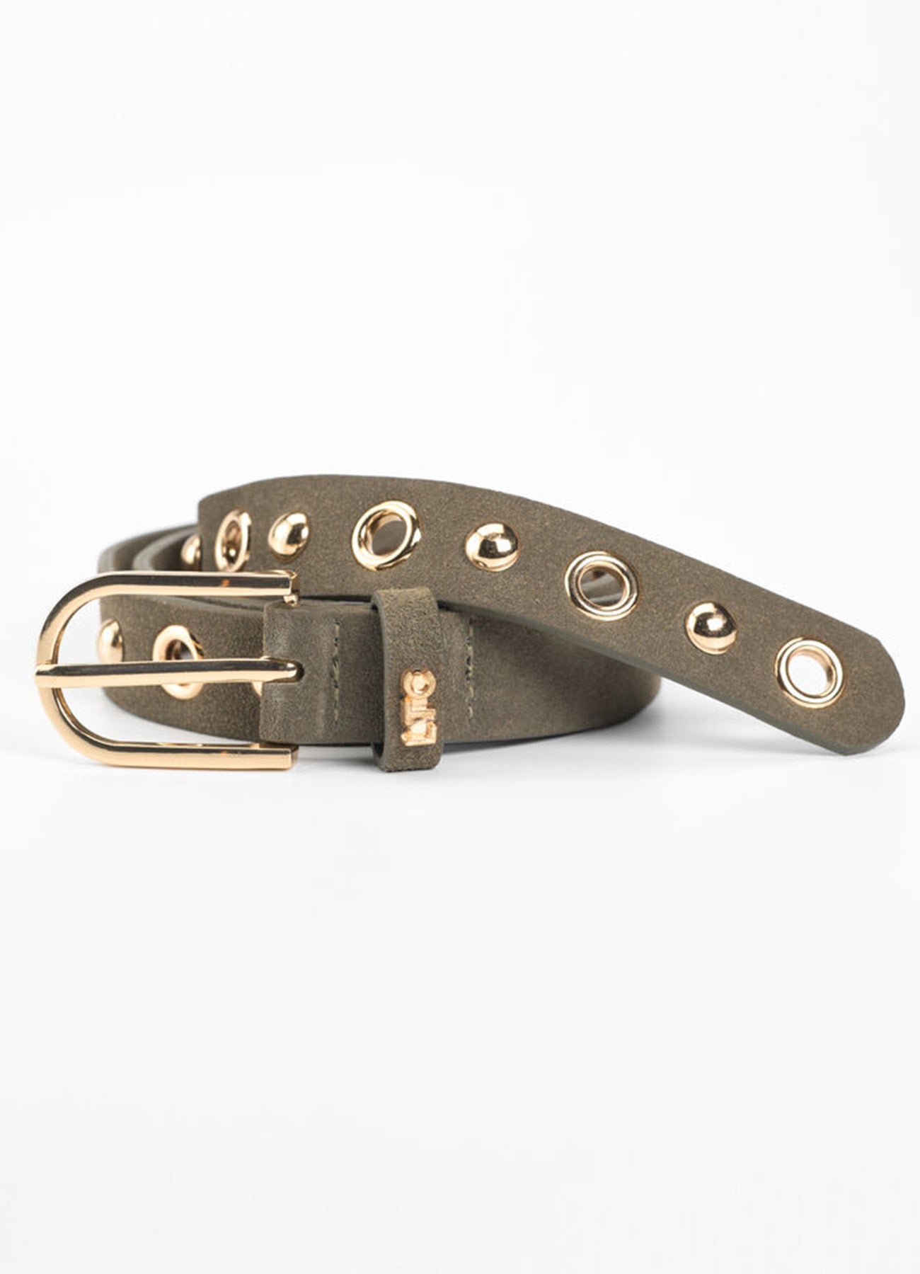 Belt : Lizard